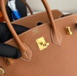 Hermes Birkin 25 Gold colour with Gold Hardware - Image 5