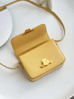 Celine Mini Handbag Orange Yellow Super Quality Smooth Leather 19cm - Image 4