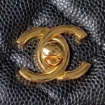 Chanel WOC Topest Quality Golden Hardware - Image 8
