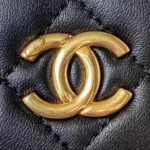 Chanel Woc Pearl Handle Plated Handbags Black Leather With Lock Gold 11.5×14.5×5.5cm - Image 5