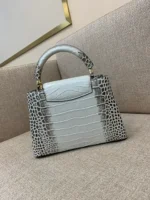 Louis Vuitton LV Capucines BB Grey Crocodile Leather Like Auth Handbags 27cm - Image 2