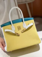 Hermès Lime, Bleu de Galice and Gris Perle Chèvre Tri-Color HSS Birkin 25 Brushed Gold Hardware - Image 7