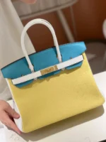 Hermès Lime, Bleu de Galice and Gris Perle Chèvre Tri-Color HSS Birkin 25 Brushed Gold Hardware - Image 5