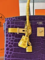 Tui Xach Hermes Birkin Crocodile Mix 2 Mau Like Auth Van Da Ca Sau 30cm 1 1