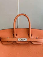 Hermes Birkin 25 Orange Togo Leather Palladium Hardware - Image 4