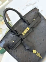 Hermes Birkin 25 Black Ostrich Leather Gold Hardware - Image 4