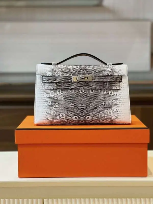 Hermes Constance Omber Lizard Handbags Lizard Skin 22cm