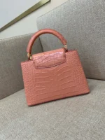 Louis Vuitton LV Capucines BB Earthy Red Like Auth Handbags 27cm - Image 8