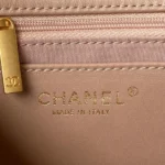 Chanel Woc Brown Handbags Pearl Handle Plated 11.5×14.5x5cm - Image 5