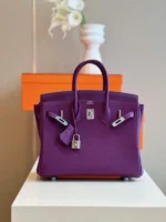 Hermes Birkin 25 Dark Purple Togo Leather Palladium Hardware - Image 2