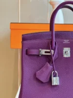 Hermes Birkin 25 Dark Purple Togo Leather Palladium Hardware - Image 5