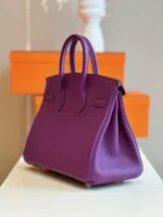 Hermes Birkin 25 Dark Purple Togo Leather Palladium Hardware - Image 6