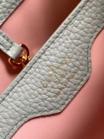 Tui Xach Nu Louis Vuitton LV Capucines BB Like Auth Mau Ghi 27x18x9cm 2
