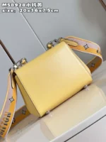 Louis Vuitton Clunny Yellow Raised Pattern 20x16cm - Image 3