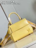Louis Vuitton Clunny Yellow Raised Pattern 20x16cm - Image 6