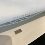 Chanel Classic Handbags Lizard Skin White With Silver Lock 25cm - Image 5