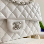 Chanel Classic Handbags Lizard Skin White With Silver Lock 25cm - Image 9