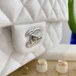 Chanel Classic Handbags Lizard Skin White With Silver Lock 25cm - Image 8