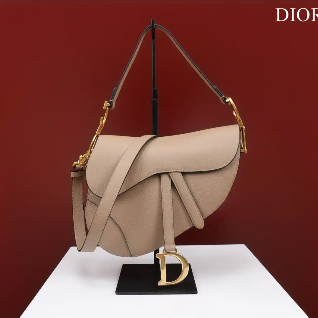 Dior Saddle Saddle Women's Handbag 25x20x6.5cm