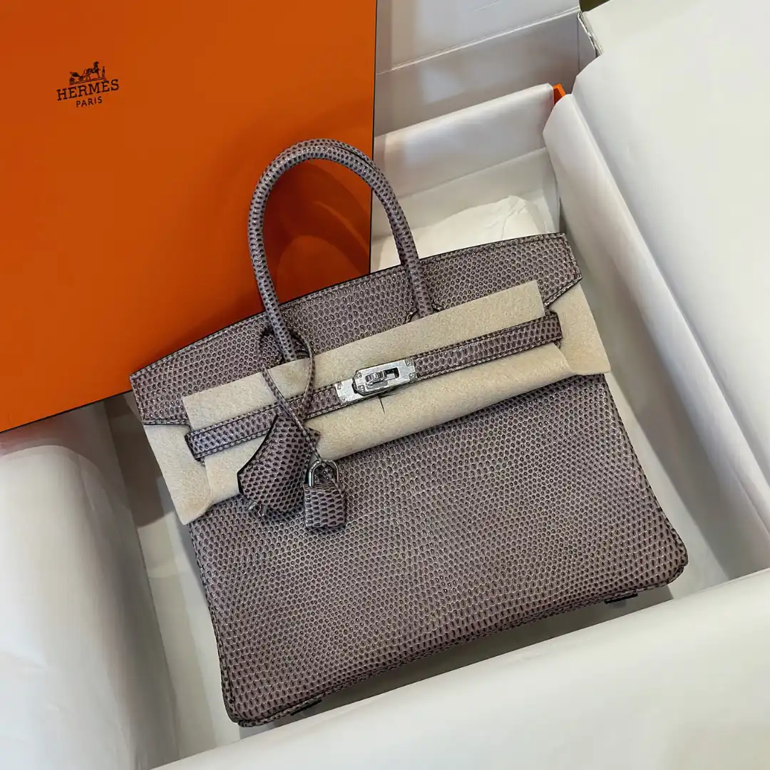 Hermes Birkin 25 Tris Fonce Genuine Lizard Leather Palladium Hardware