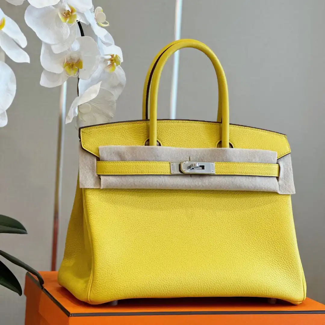 Untitled-design-2025-05-31T224140.230 Hermes Birkin 30 Amber Yellow Palladium Hardware - Image 1